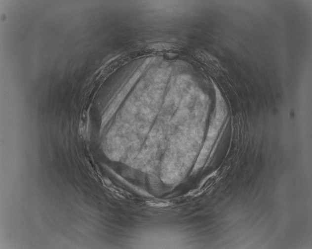 X0000067511158200604281601