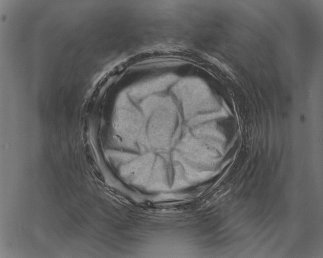 X0000067511160200604281601