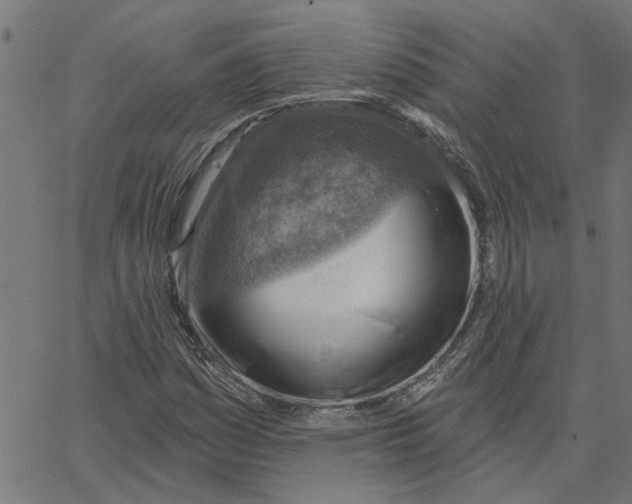 X0000067511161200604281601