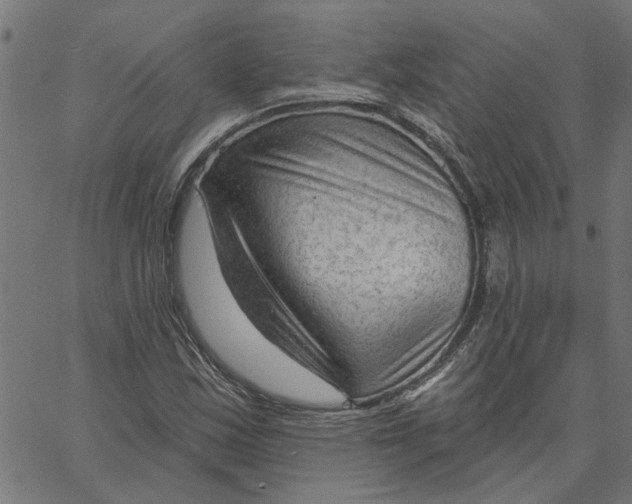 X0000067511163200604281601