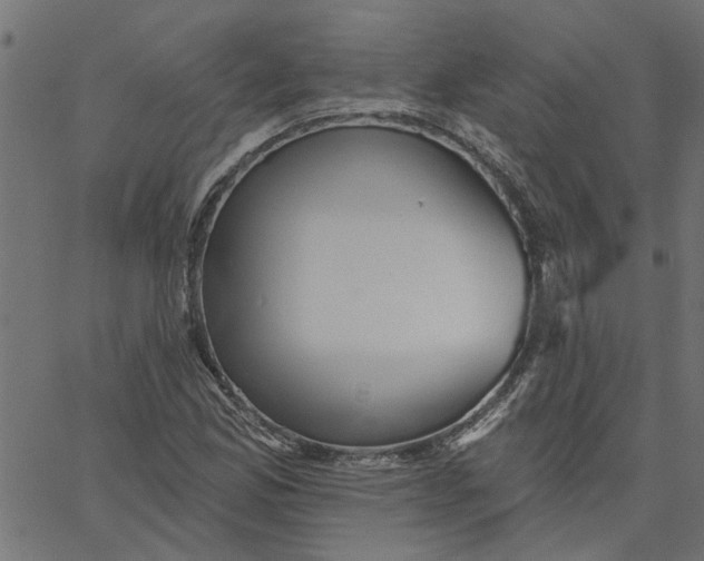 X0000067511165200604281601