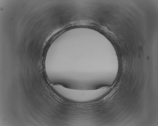 X0000067511166200604281601