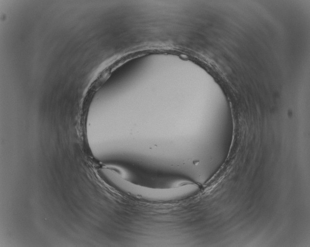 X0000067511168200604281601