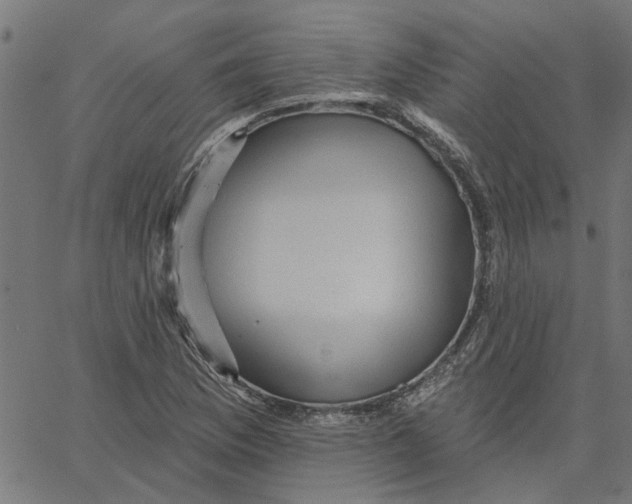 X0000067511169200604281601