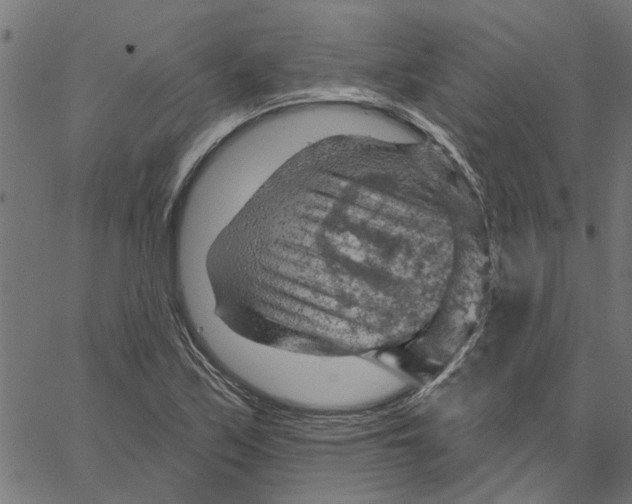 X0000067511171200604281601