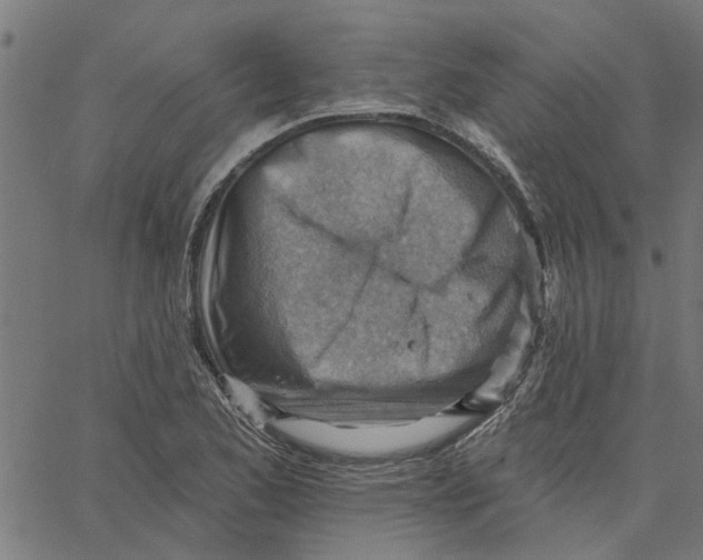 X0000067511173200604281601