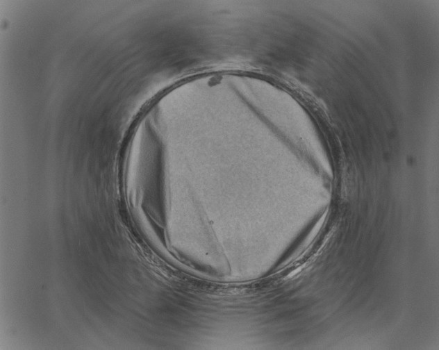 X0000067511174200604281601