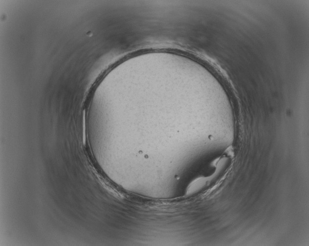 X0000067511175200604281601