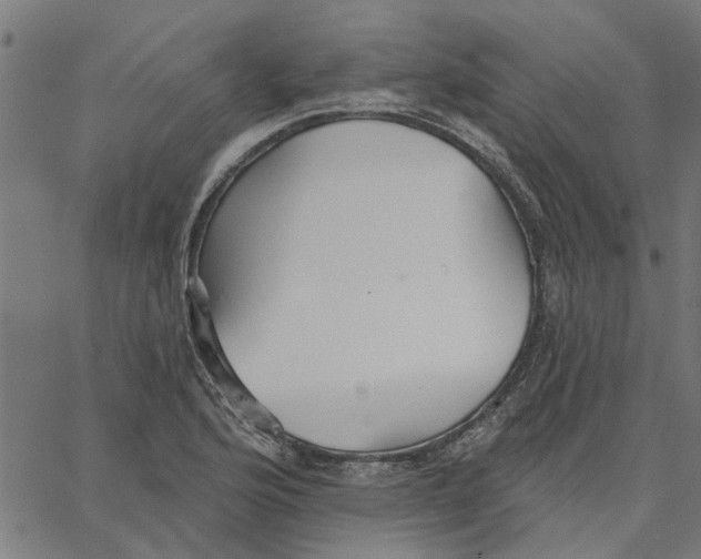 X0000067511176200604281600