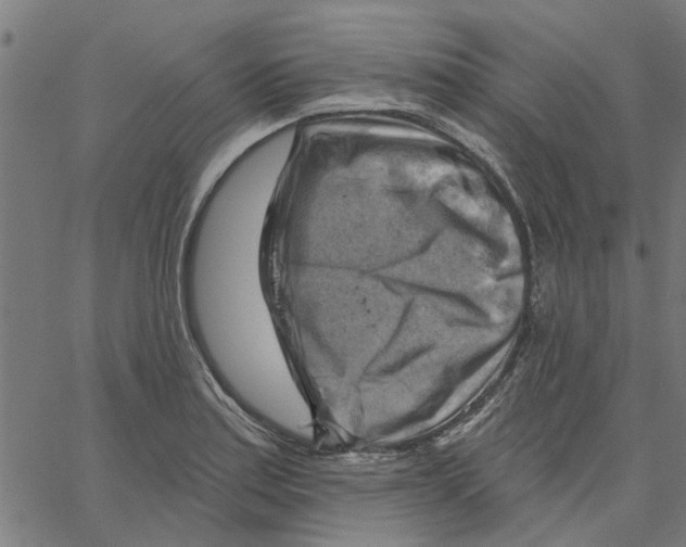 X0000067511179200604281600