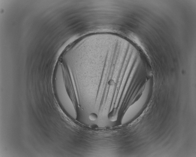 X0000067511181200604281600