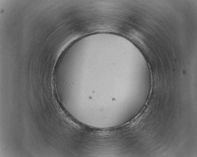 X0000067511182200604281600