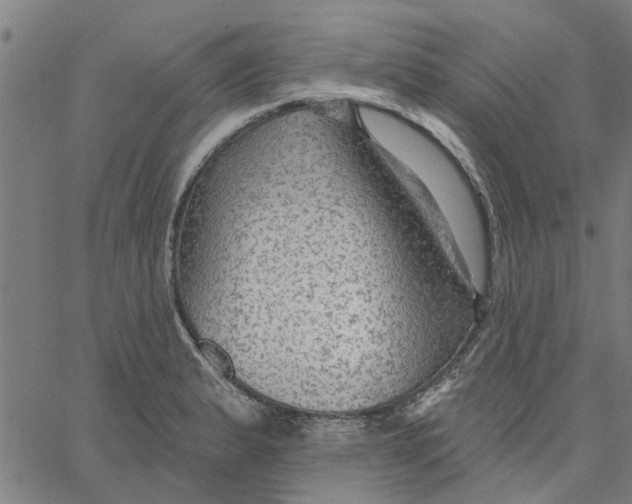 X0000067511183200604281600