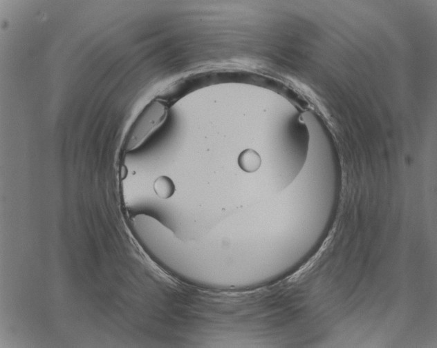 X0000067511184200604281600