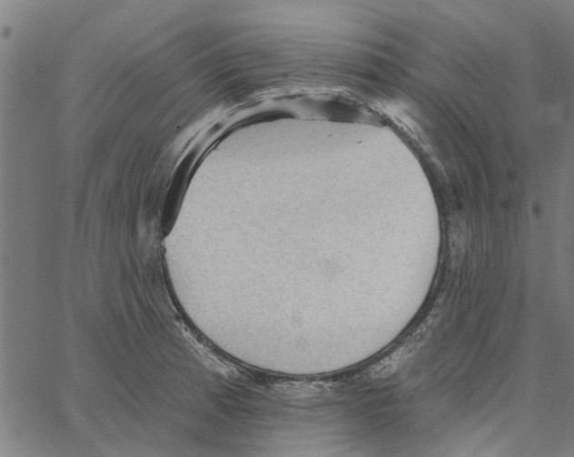 X0000067511185200604281600