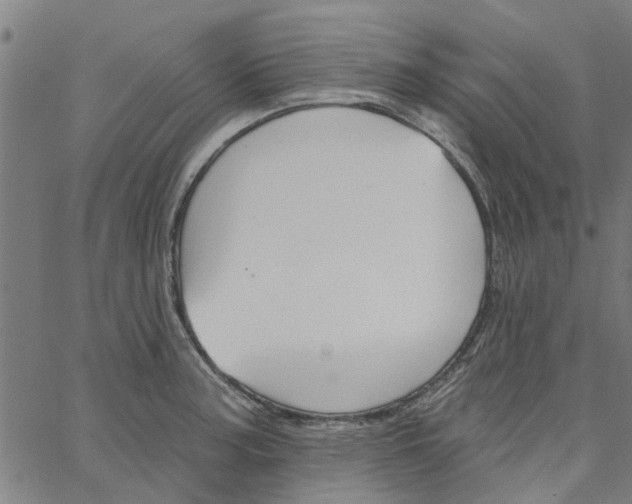 X0000067511187200604281600