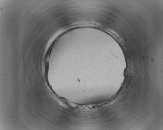 X0000067511188200604281600