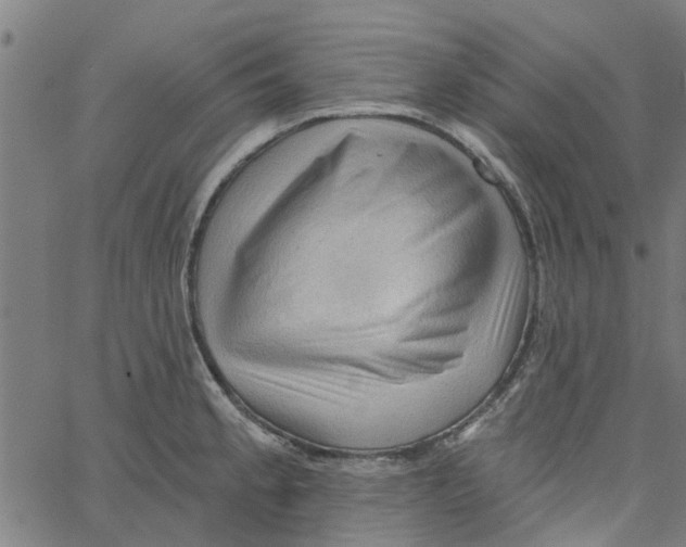 X0000067511189200604281600