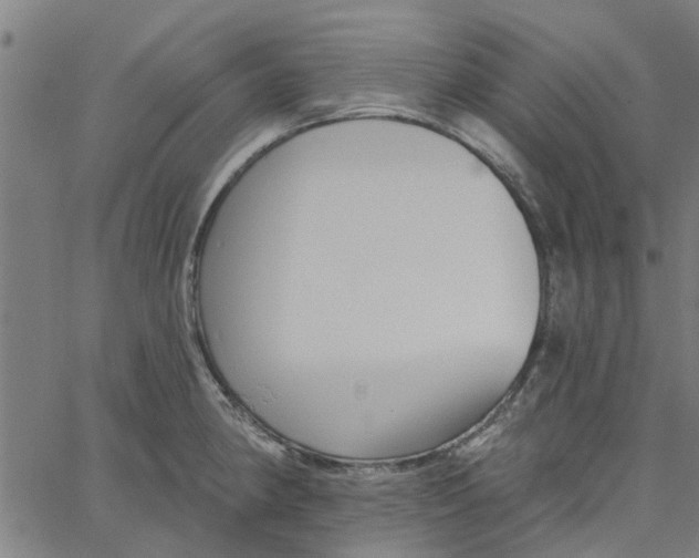 X0000067511190200604281600