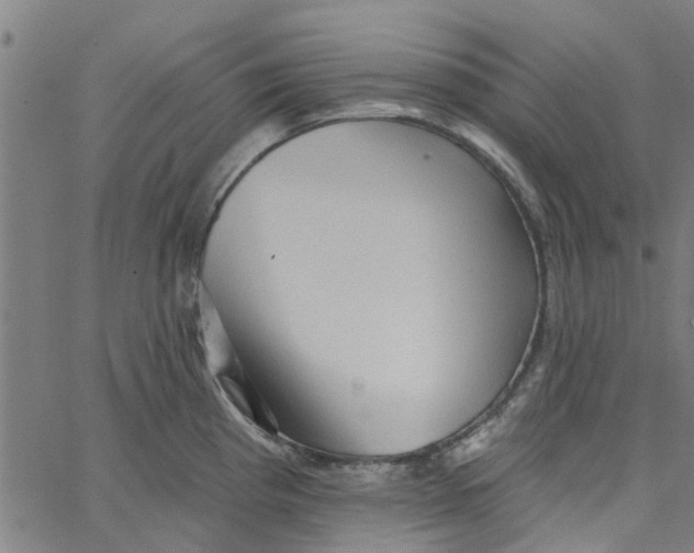 X0000067511193200604281600