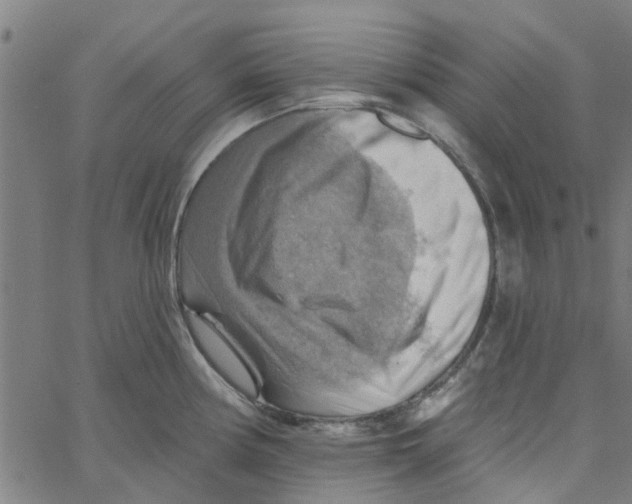 X0000067511194200604281600