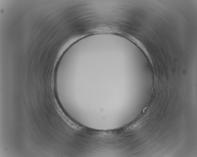 X0000067511195200604281600