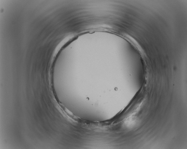 X0000067511196200604281600