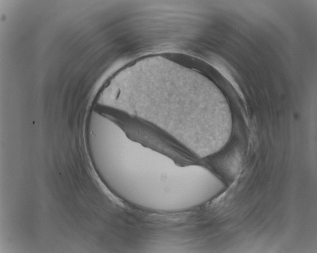 X0000067511197200604281600