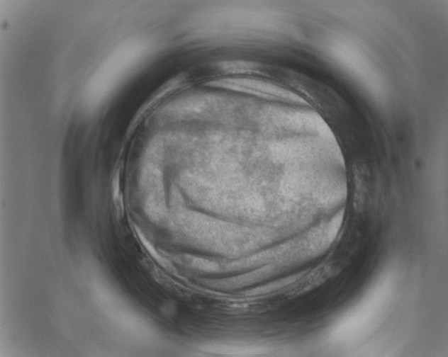 X0000067511198200604281600