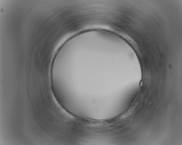 X0000067511199200604281600