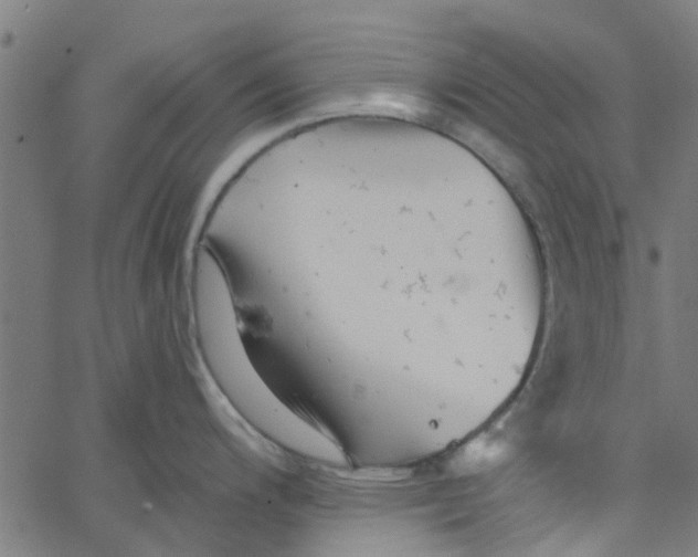 X0000067511200200604281600