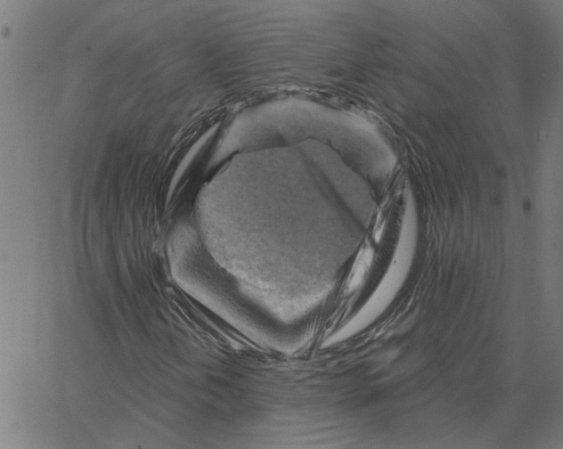 X0000067511202200604281559