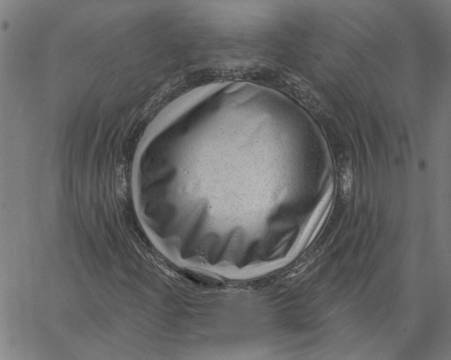 X0000067511204200604281559