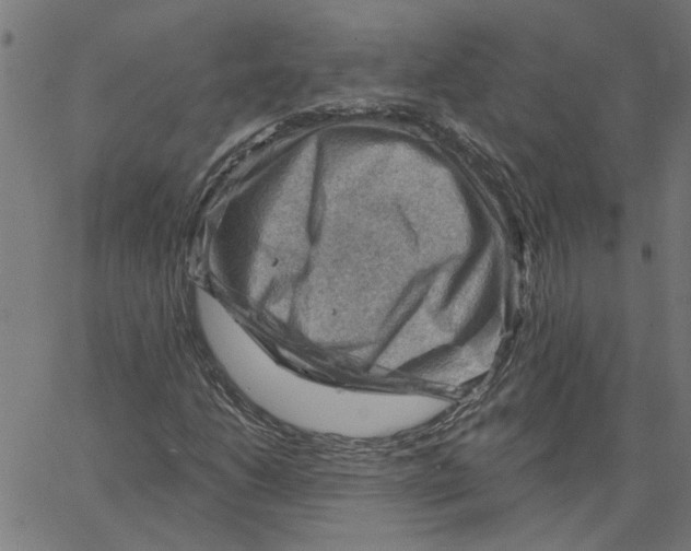 X0000067511206200604281559