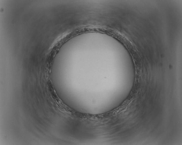 X0000067511207200604281559