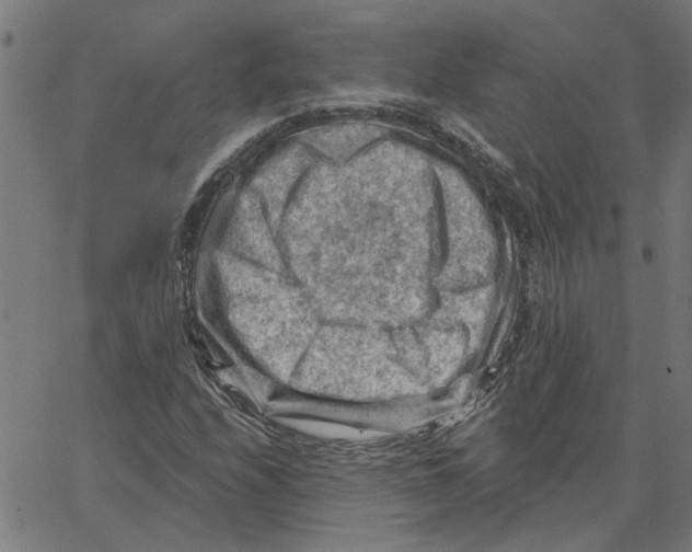 X0000067511208200604281559