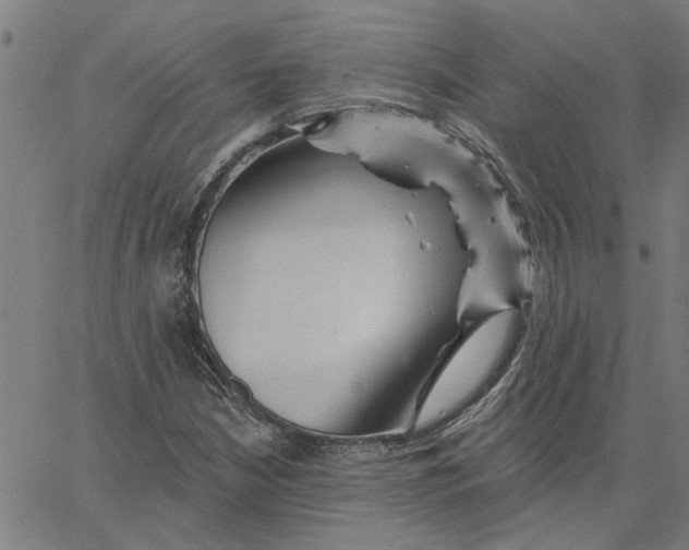 X0000067511210200604281559