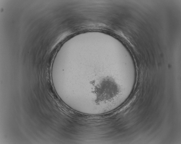 X0000067511211200604281559