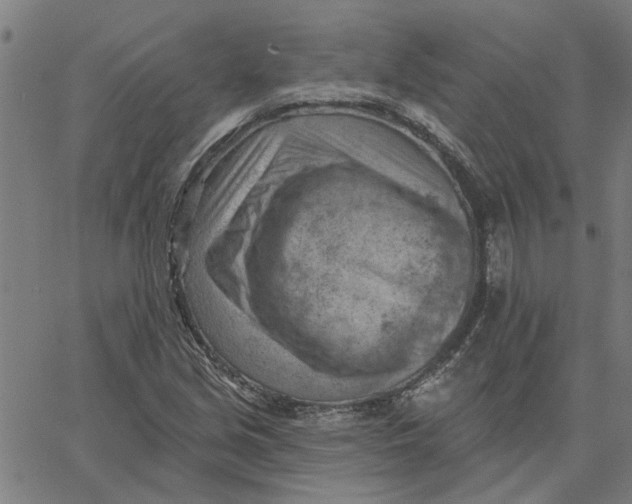 X0000067511213200604281600