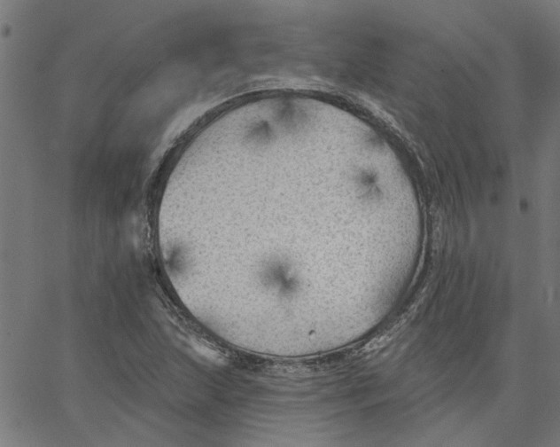 X0000067511215200604281600