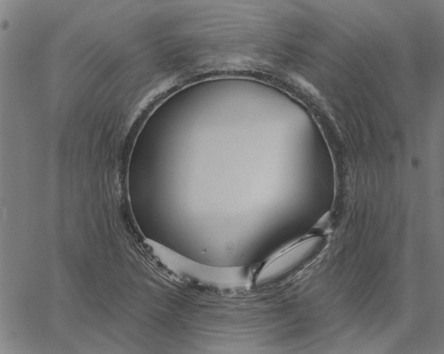 X0000067511218200604281600