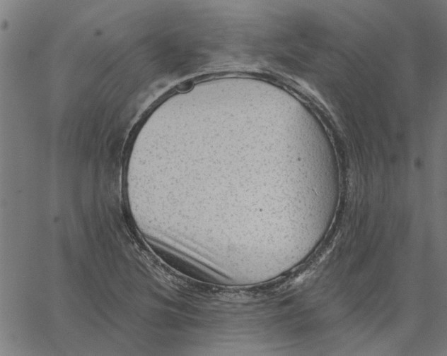 X0000067511220200604281600