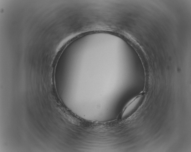 X0000067511222200604281600