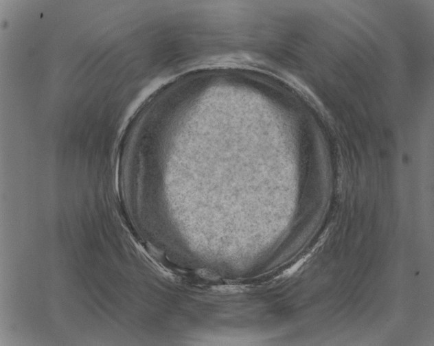 X0000067511224200604281600