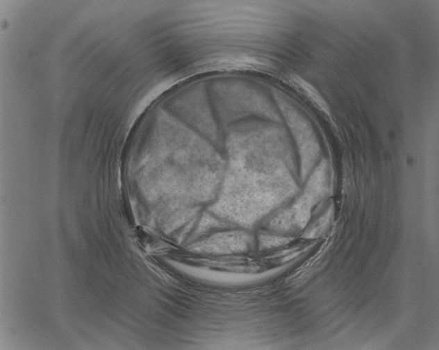 X0000067511226200604281600