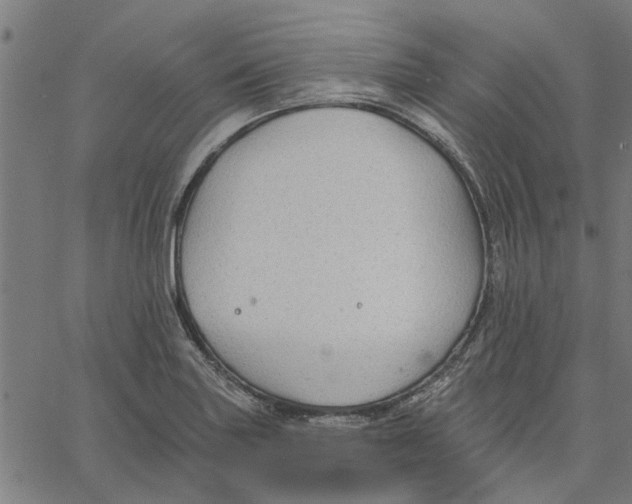 X0000067511227200604281600