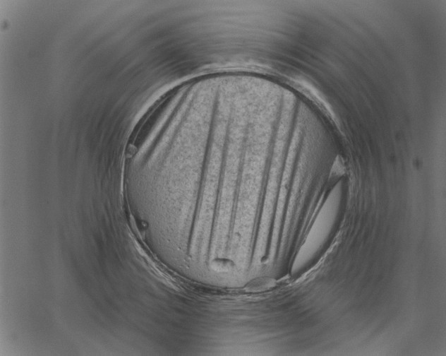 X0000067511228200604281600