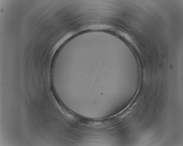 X0000067511229200604281600