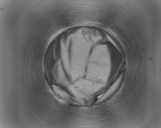 X0000067511230200604281600