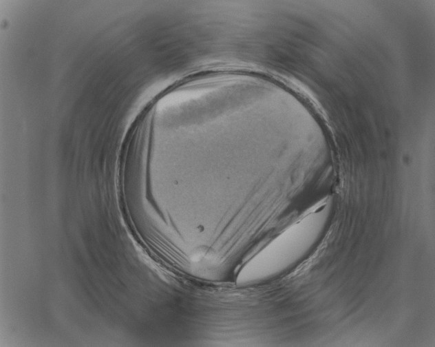 X0000067511231200604281600